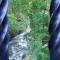 Clear Creek Inn