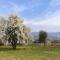 Colle Ameno Room and Breakfast