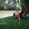 RiversEdge - باستروب