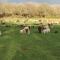 Rainors farm B&B