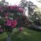 Cabin in the Tasmanian Bush - Tranquility! - Pipers River