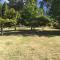 Cabin in the Tasmanian Bush - Tranquility! - Pipers River