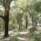 VyVE Grazalema AT - Grazalema