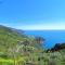 Cinque Terre Sea View