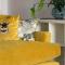 Chester City Centre Waterfront Apartment