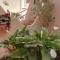 B&B Sa Madalena a Dorgali-IUN E4918 B&B Sa Madalena a Dorgali-IUN E4918