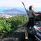 LA TAGORA Conect with the nature & relax - Icod de los Vinos