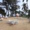 The Windflower Resorts and Spa Varca Goa