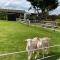 Rew Farm Country and Equestrian Accommodation - Sunset Lodge - Melksham