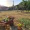 Beautiful Istrian house with big backyard