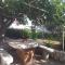 Apartmani Branka