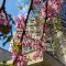 Rovno Hotel - Vidin