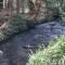 Creekside Lodge Bathpool Launceston Cornwall