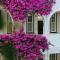 The Winchester Hotel by NEWMARK