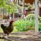 The Farmhouse Inn