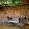 Geiger's Camp in Timbavati Game Reserve by NEWMARK - Timbavati Game Reserve