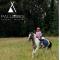 Palumbo Glamping & Villas