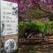 Kibbutz Malkiya Travel Hotel