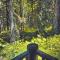 Bear Den Log Cabin - Meredith Lodging
