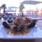 BluMare Resort - Spille