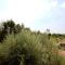 Holiday house Green Marea