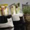 8pax Cozy Home Stay Jazz Suites 1 Vivacity Kuching Sarawak 3BR