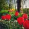 Vakantiewoning Victors Hof tot 4 pers