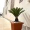 B&B La CYCAS