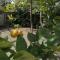 Detached renovated cottage with a garden 3 min walk from the beach