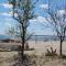 camping feniglia