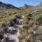 Lark House, Peaceful Mountain Home with Ocean Views and Power Backup - Kapstadt