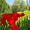 Gîte De Vacances Jardin Monet Giverny Vernon