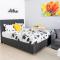 C3 Modern Spartan Apartment