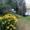 Villa Rock Saimaa