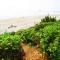 Salal Bluff
