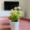 aday - Central Charming Apartment with Terrace