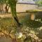 Villa Adriana Tuscia Country Retreat