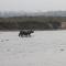 Wild Adventure Resort - Sunset Point - Sauraha