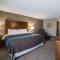 Comfort Inn & Suites St Louis-Hazelwood - Hazelwood