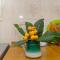 Apartment Anka