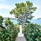 Dukley Hotel & Resort