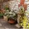 Bluebell Cottage - Norfolk Cottage Agency