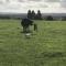 Rew Farm Country and Equestrian Accommodation - Sunset Lodge - Melksham