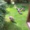 Heathergate Cottage Dartmoor BnB
