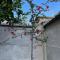 Kvaras House