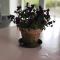 Country-living with a lovely view and own terrace, entrance and parking