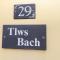 Tlws Bach - Roch