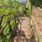 Casa Mantel Holiday Home Panoramic view in Langhe