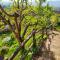 Casa Mantel Holiday Home Panoramic view in Langhe