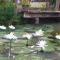 Metha Country View Homestay Singburi